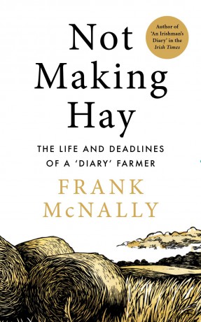 Not Making Hay - Frank McNally [KSIĄŻKA]