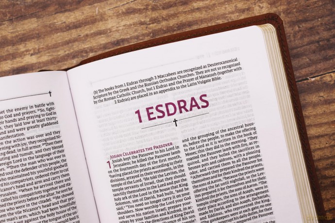 NRSVue, Holy Bible with Apocrypha, Compact, Leathersoft, Brown, Comfort Print: Nrsvue, Holy Bible With Apocrypha, Leathersoft, Brown, Comfort Print - Zondervan [KSIĄŻKA]