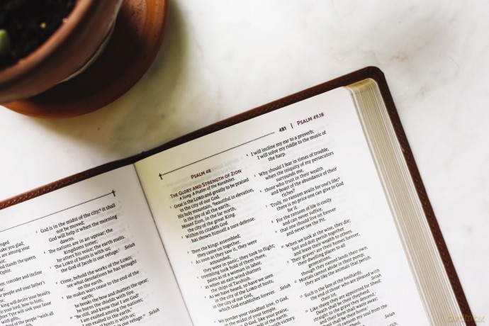 NRSVue, Holy Bible with Apocrypha, Compact, Leathersoft, Brown, Comfort Print: Nrsvue, Holy Bible With Apocrypha, Leathersoft, Brown, Comfort Print - Zondervan [KSIĄŻKA]