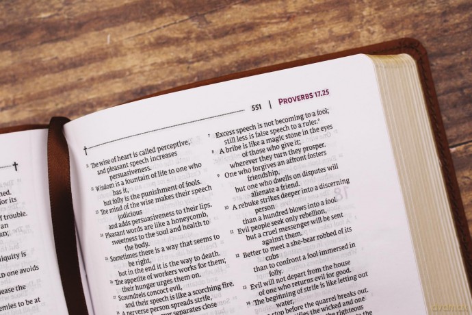 NRSVue, Holy Bible with Apocrypha, Compact, Leathersoft, Brown, Comfort Print: Nrsvue, Holy Bible With Apocrypha, Leathersoft, Brown, Comfort Print - Zondervan [KSIĄŻKA]