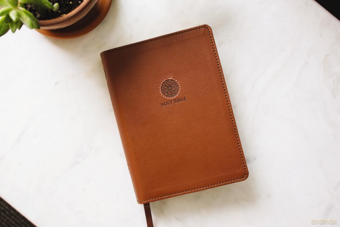 NRSVue, Holy Bible with Apocrypha, Compact, Leathersoft, Brown, Comfort Print: Nrsvue, Holy Bible With Apocrypha, Leathersoft, Brown, Comfort Print - Zondervan [KSIĄŻKA]