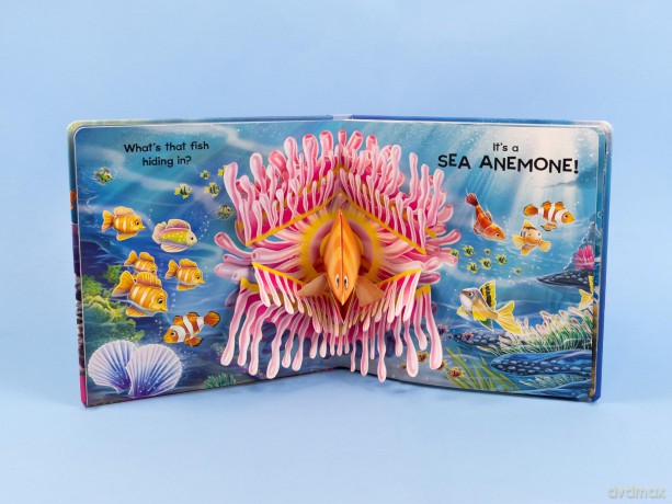 Ocean Pop-Up Book - Meet 3D Sea Life [KSIĄŻKA]