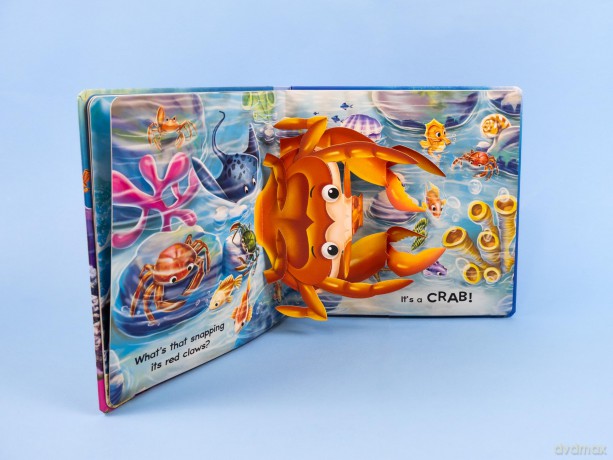 Ocean Pop-Up Book - Meet 3D Sea Life [KSIĄŻKA]