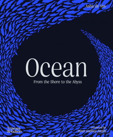 Ocean: From the Shore to the Abyss - Asha de Vos [KSIĄŻKA]