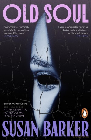 Old Soul: The deliciously unsettling novel that will sneak into your dreams and haunt you - Susan Barker [KSIĄŻKA]