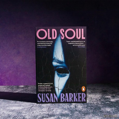Old Soul: The deliciously unsettling novel that will sneak into your dreams and haunt you - Susan Barker [KSIĄŻKA]