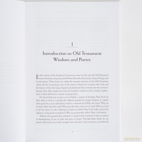 Old Testament Wisdom And Poetry: Contemplating a Lived Faith - Caudill [KSIĄŻKA]