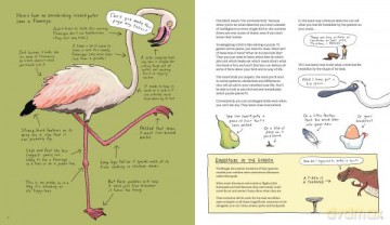 Omnibird: An Avian Investigator's Handbook - Giselle Clarkson [KSIĄŻKA]