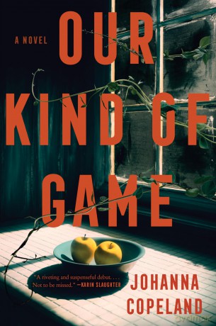 Our Kind of Game: A Novel - Johanna Copeland [KSIĄŻKA]
