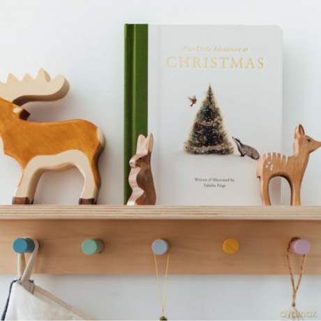 Our Little Adventure at Christmas: Featuring Foundational Language Concepts and Lessons on the Joy of Giving - Tabitha Paige [KSIĄŻKA]