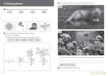 Our planet - Workbook 2 - Fiona Macgregor [KSIĄŻKA]