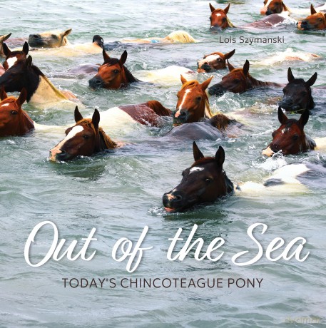 Out of the Sea: Today's Chincoteague Pony: Today's Chincoteague Pony - Lois Szymanski [KSIĄŻKA]