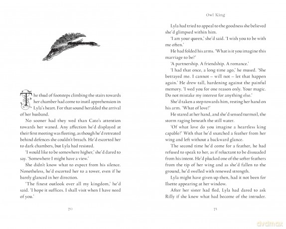 Owl King: Faery Realms series: The darkly enchanting YA fantasy - Bex Hogan [KSIĄŻKA]