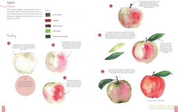 Paint 50: Watercolour Nature: From basic shapes to amazing paintings in super-easy steps - Clarice Gomes [KSIĄŻKA]