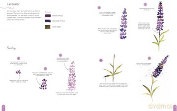 Paint 50: Watercolour Nature: From basic shapes to amazing paintings in super-easy steps - Clarice Gomes [KSIĄŻKA]