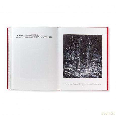 Pat Steir: Paintings, 2018-2025 - Colm Tóibín [KSIĄŻKA]