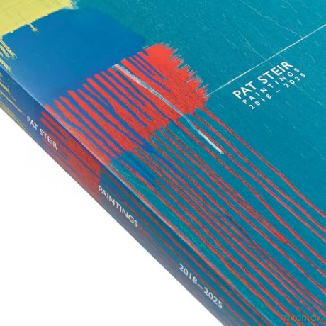 Pat Steir: Paintings, 2018-2025 - Colm Tóibín [KSIĄŻKA]