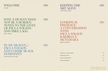 Paula Wilson: Toward the Sky's Back Door - Rebecca McNamara [KSIĄŻKA]
