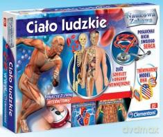 Naukowa Zabawa: Ciało Ludzkie