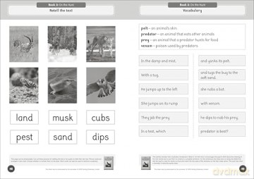 Phonic Books The Fact Files 1 Activities: Adjacent consonants and consonant digraphs, suffixes -ed and -ing - Phonic Books [KSIĄŻKA]