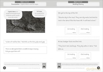 Phonic Books The Fact Files 1 Activities: Adjacent consonants and consonant digraphs, suffixes -ed and -ing - Phonic Books [KSIĄŻKA]