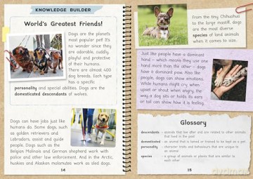 Phonic Books The Fact Files 1: Adjacent consonants and consonant digraphs, suffixes -ed and -ing - Phonic Books [KSIĄŻKA]