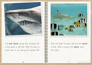 Phonic Books The Fact Files 1: Adjacent consonants and consonant digraphs, suffixes -ed and -ing - Phonic Books [KSIĄŻKA]