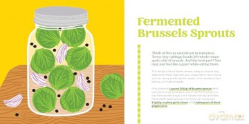 Pickles, Illustrated: A Cookbook of 36 Recipes and Briny Miscellany - Karen Solomon [KSIĄŻKA]