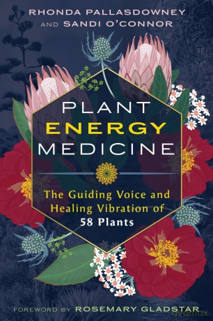Plant Energy Medicine: The Guiding Voice and Healing Vibration of 58 Plants - Rhonda PallasDowney [KSIĄŻKA]