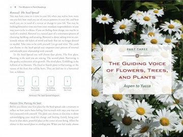 Plant Energy Medicine: The Guiding Voice and Healing Vibration of 58 Plants - Rhonda PallasDowney [KSIĄŻKA]