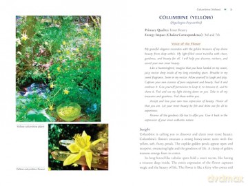 Plant Energy Medicine: The Guiding Voice and Healing Vibration of 58 Plants - Rhonda PallasDowney [KSIĄŻKA]