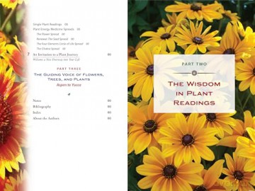 Plant Energy Medicine: The Guiding Voice and Healing Vibration of 58 Plants - Rhonda PallasDowney [KSIĄŻKA]