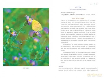 Plant Energy Medicine: The Guiding Voice and Healing Vibration of 58 Plants - Rhonda PallasDowney [KSIĄŻKA]