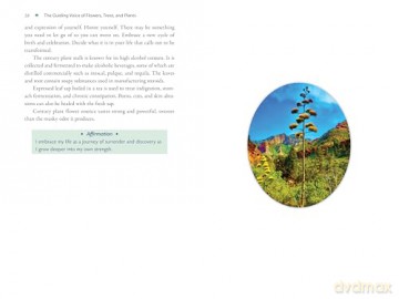 Plant Energy Medicine: The Guiding Voice and Healing Vibration of 58 Plants - Rhonda PallasDowney [KSIĄŻKA]