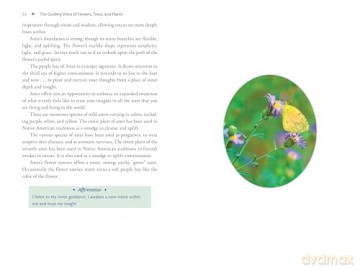 Plant Energy Medicine: The Guiding Voice and Healing Vibration of 58 Plants - Rhonda PallasDowney [KSIĄŻKA]