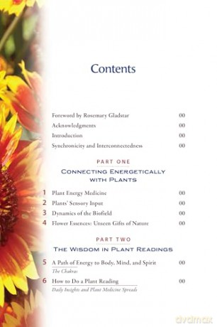 Plant Energy Medicine: The Guiding Voice and Healing Vibration of 58 Plants - Rhonda PallasDowney [KSIĄŻKA]