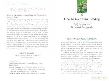 Plant Energy Medicine: The Guiding Voice and Healing Vibration of 58 Plants - Rhonda PallasDowney [KSIĄŻKA]