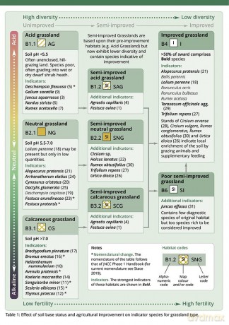 Plant Identification for Phase 1 Habitat Survey: Grassland and Marsh - Hilary Wallace [KSIĄŻKA]