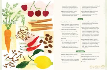 Plant Magic at Home: A Complete Guide to Harnessing the Power of Nature from Rituals to DIYs - Enid Baxter Ryce [KSIĄŻKA]