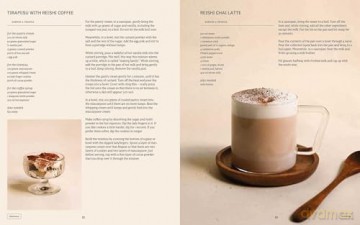 Plant Power: Heal Yourself with Medicinal Mushrooms, Roots, Flowers, and Herbs - Wouter Bijdendijk [KSIĄŻKA]