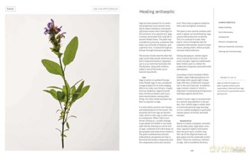 Plant Power: Heal Yourself with Medicinal Mushrooms, Roots, Flowers, and Herbs - Wouter Bijdendijk [KSIĄŻKA]