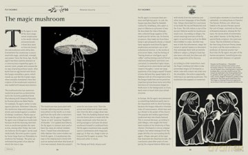 Plant Power: Heal Yourself with Medicinal Mushrooms, Roots, Flowers, and Herbs - Wouter Bijdendijk [KSIĄŻKA]