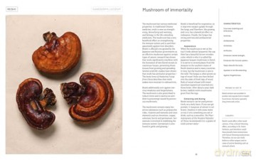 Plant Power: Heal Yourself with Medicinal Mushrooms, Roots, Flowers, and Herbs - Wouter Bijdendijk [KSIĄŻKA]
