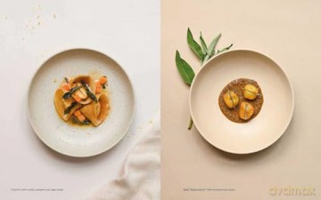 Plant Power: Heal Yourself with Medicinal Mushrooms, Roots, Flowers, and Herbs - Wouter Bijdendijk [KSIĄŻKA]