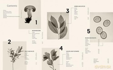Plant Power: Heal Yourself with Medicinal Mushrooms, Roots, Flowers, and Herbs - Wouter Bijdendijk [KSIĄŻKA]