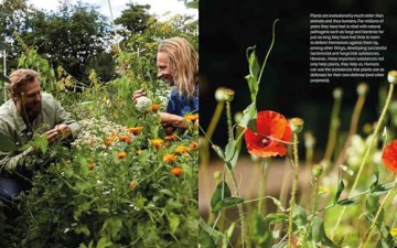 Plant Power: Heal Yourself with Medicinal Mushrooms, Roots, Flowers, and Herbs - Wouter Bijdendijk [KSIĄŻKA]