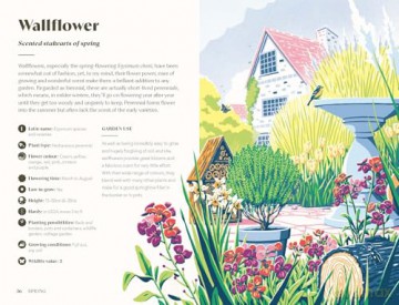 Planting for a Year of Flowers: Grow Your Garden Through the Year - Jane Moore [KSIĄŻKA]