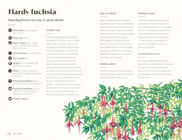 Planting for a Year of Flowers: Grow Your Garden Through the Year - Jane Moore [KSIĄŻKA]