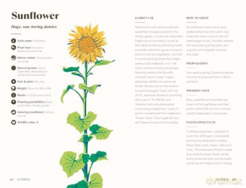 Planting for a Year of Flowers: Grow Your Garden Through the Year - Jane Moore [KSIĄŻKA]