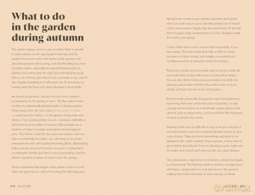 Planting for a Year of Flowers: Grow Your Garden Through the Year - Jane Moore [KSIĄŻKA]